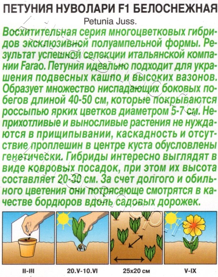 Петуния Нуволари F1 полуампельная белоснежная 5шт