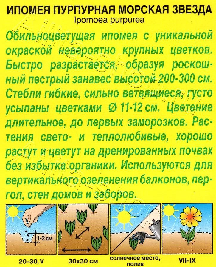 Ипомея Морская звезда 0,5г