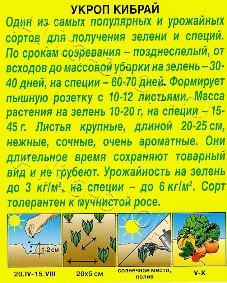 Укроп Кибрай 3г