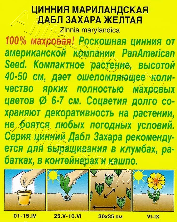 Цинния Дабл Захара желтая 5шт