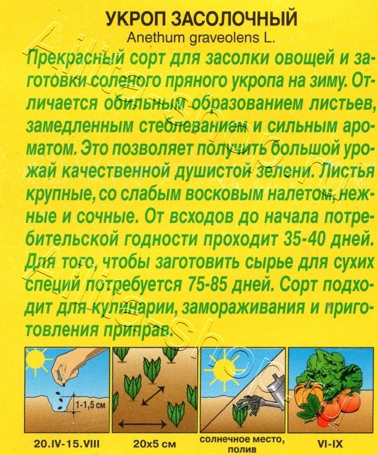 Укроп Засолочный 3г