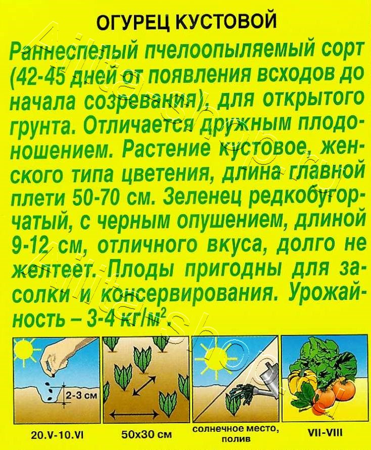 Огурец Кустовой 20шт