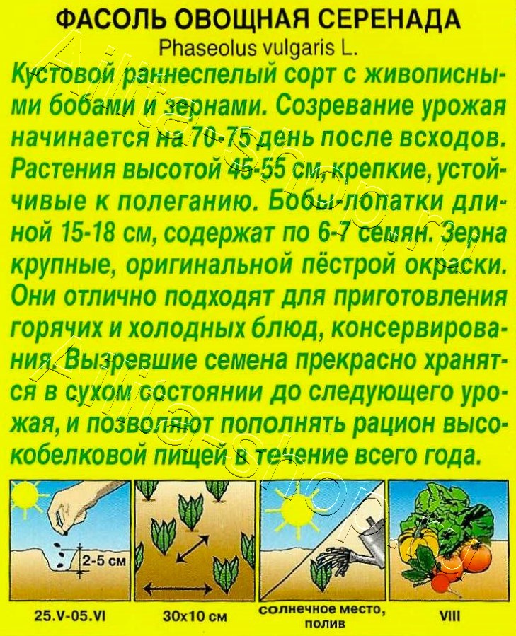 Фасоль овощная Серенада 5г