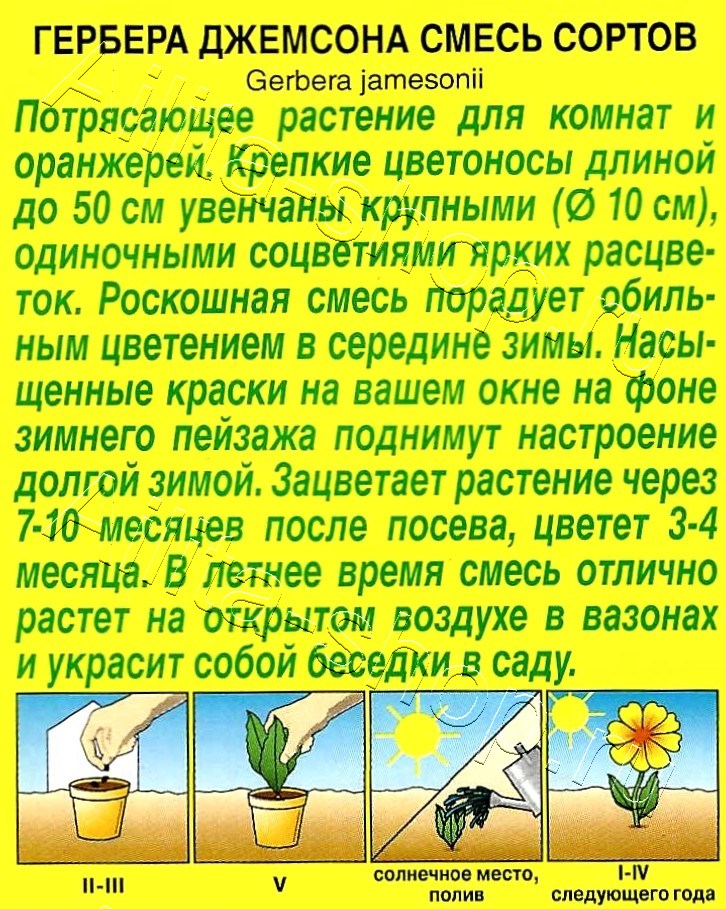 Гербера Джемсона, смесь окрасок 0,04г