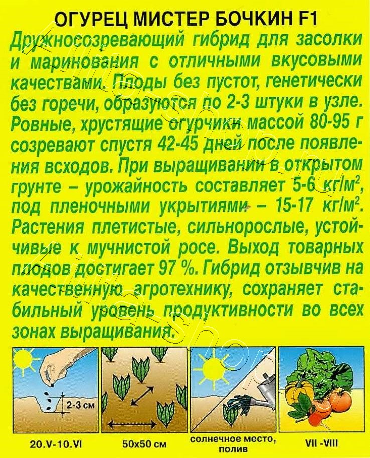 Огурец Мистер Бочкин F1 10шт