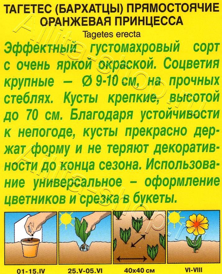 Бархатцы Оранжевая принцесса прямостоячие 0,3г