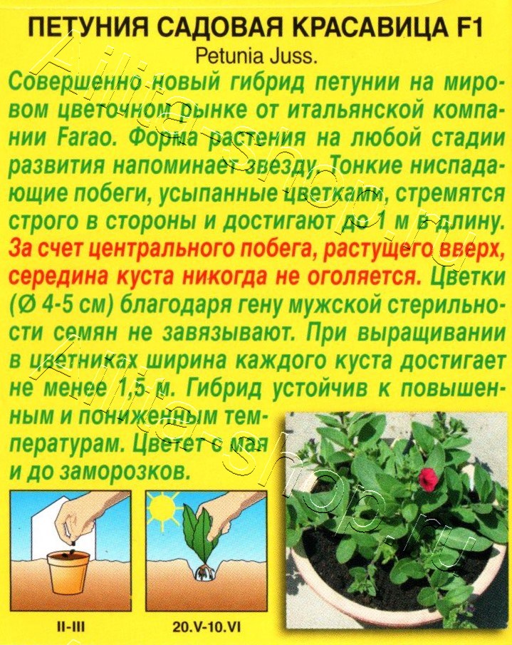 Петуния Садовая красавица F1 многоцветковая 7шт