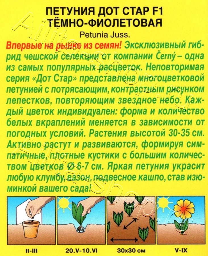 Петуния Дот Стар F1 темно-фиолетовая 7шт