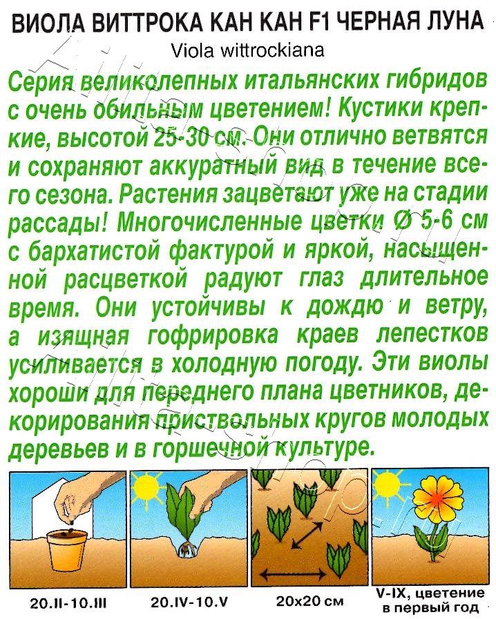 Виола Кан Кан F1 черная луна 7шт