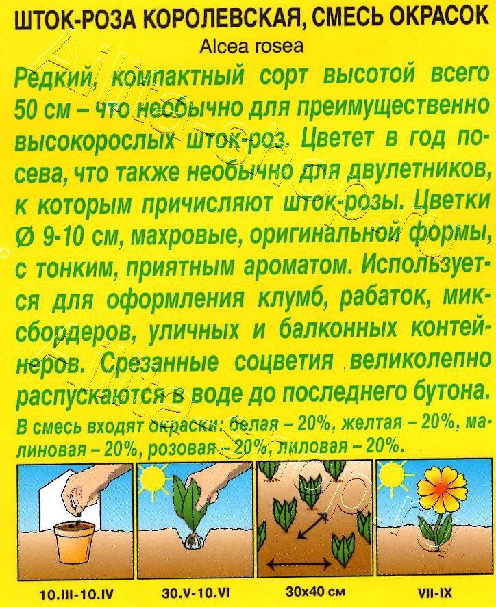 Шток-роза Королевская, смесь сортов 10шт