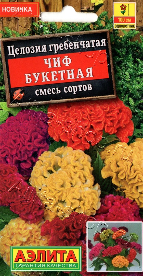 Целозия гребенчатая Чиф букетная, смесь сортов 10шт