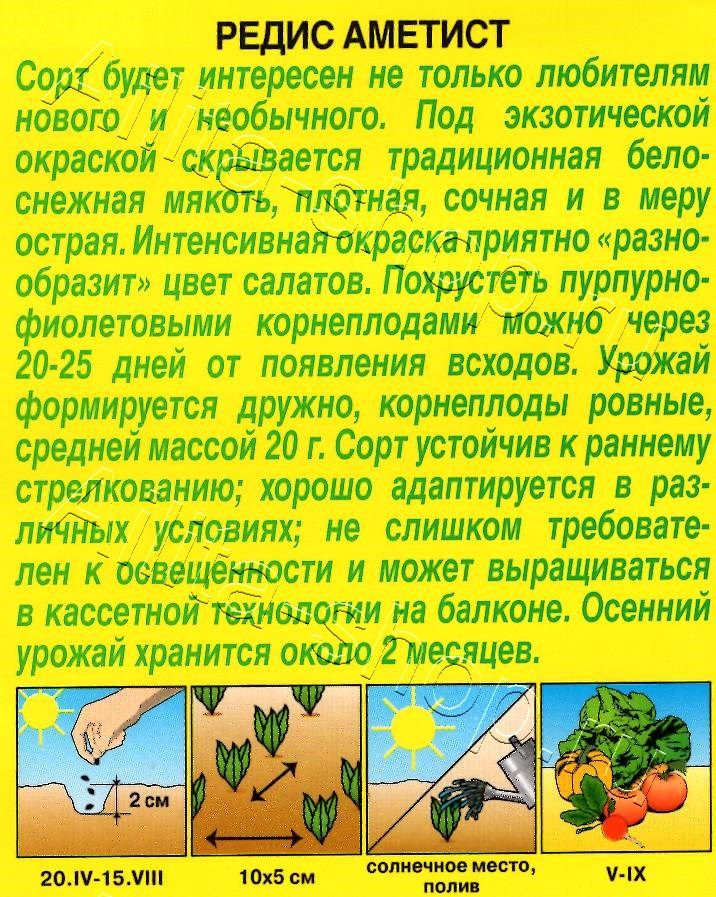 Редис Аметист 2г