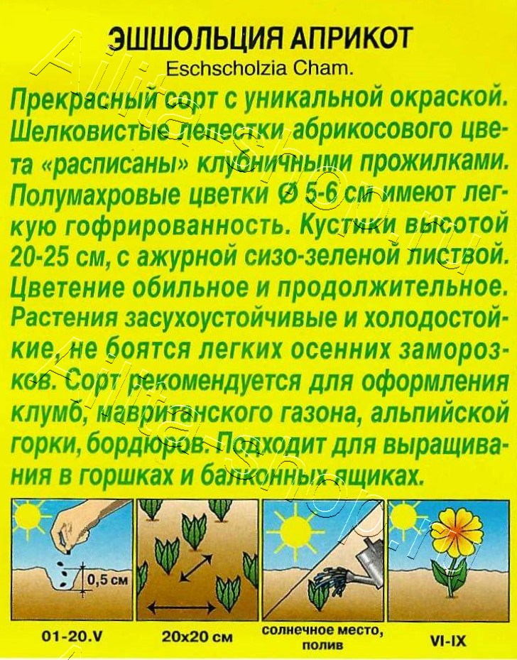 Эшшольция Априкот 20шт