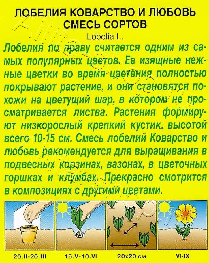 Лобелия Коварство и любовь, смесь сортов 0,05г