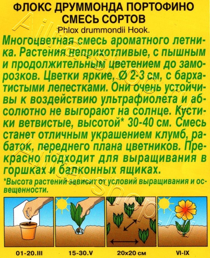 Флокс Портофино, смесь сортов 0,1г