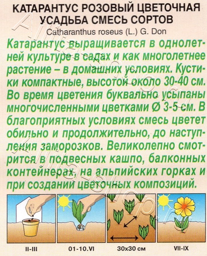 Катарантус Цветочная усадьба, смесь сортов 0,05г