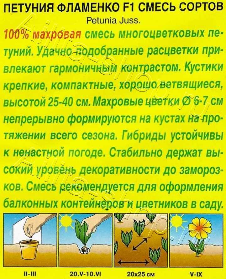 Петуния Фламенко F1 многоцветковая махровая, смесь сортов 5шт