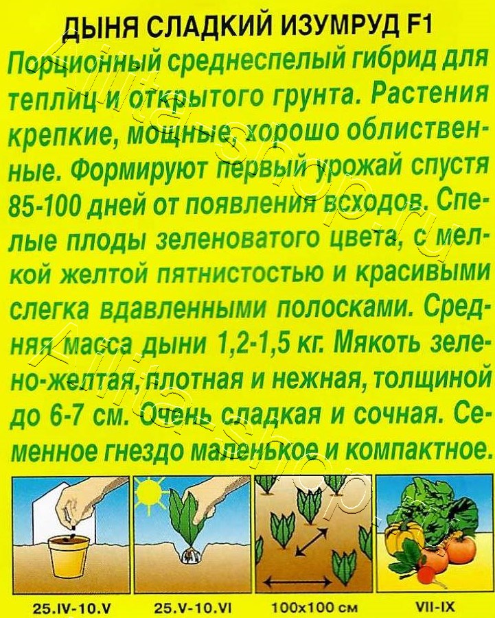 Дыня Сладкий изумруд F1 5шт