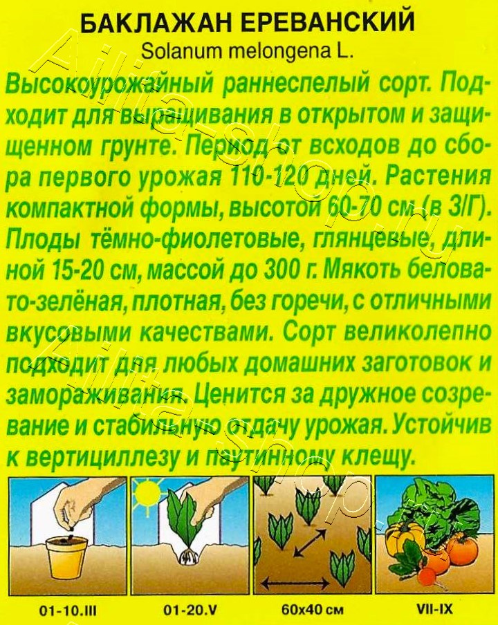 Баклажан Ереванский 0,1г