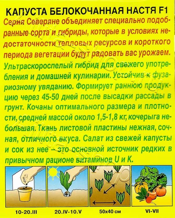 Капуста белокочанная Настя F1 0,1г
