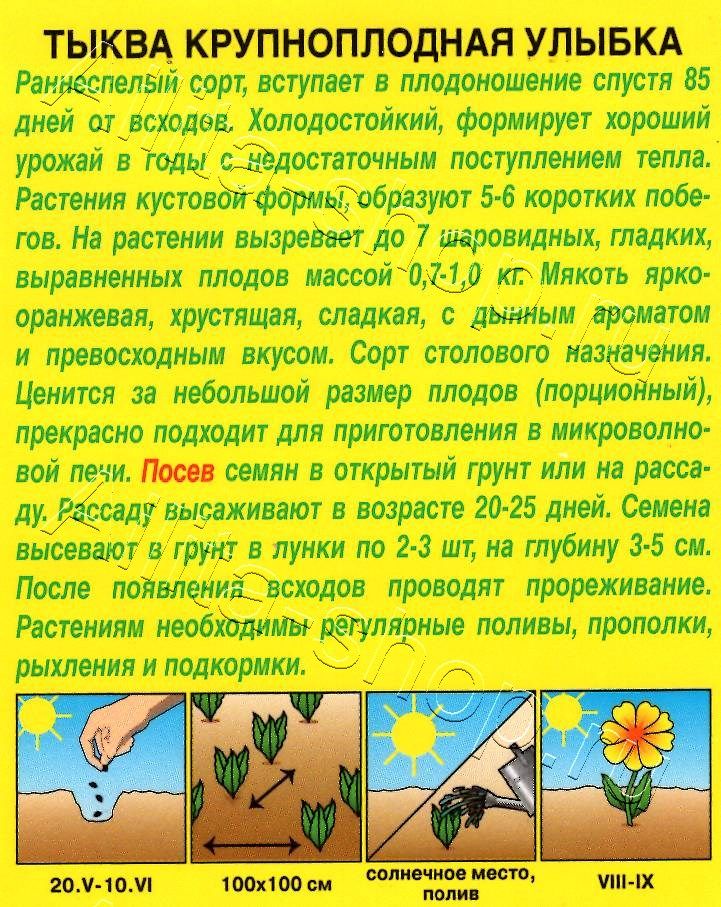 Тыква крупноплодная Улыбка 2г