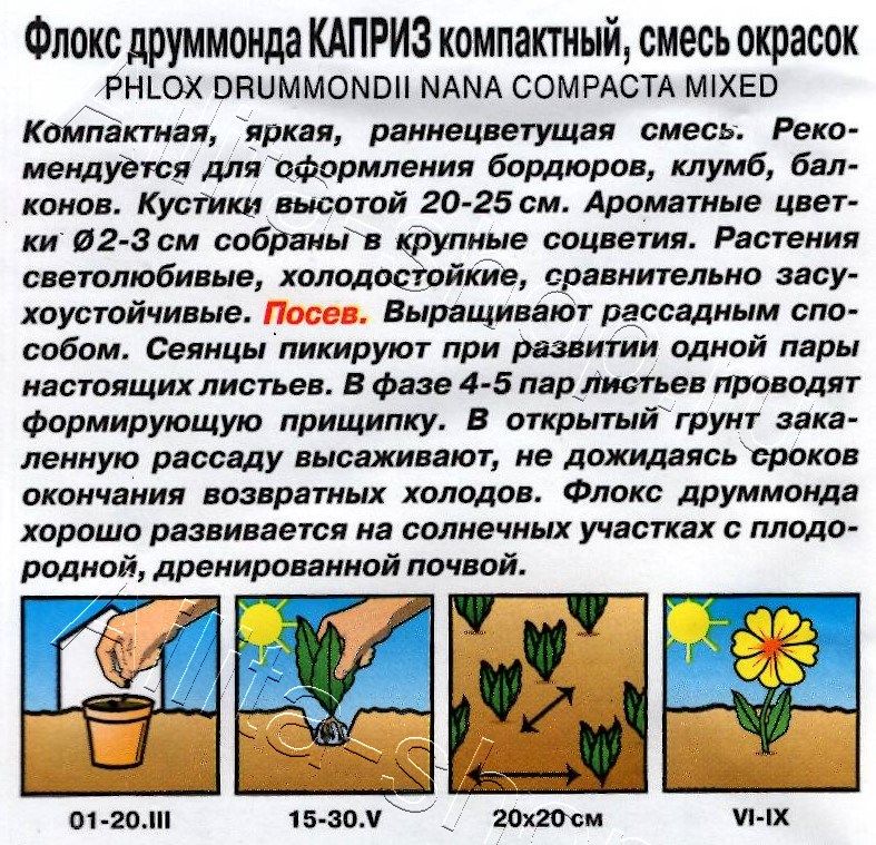 Флокс Каприз, смесь окрасок 0,2г