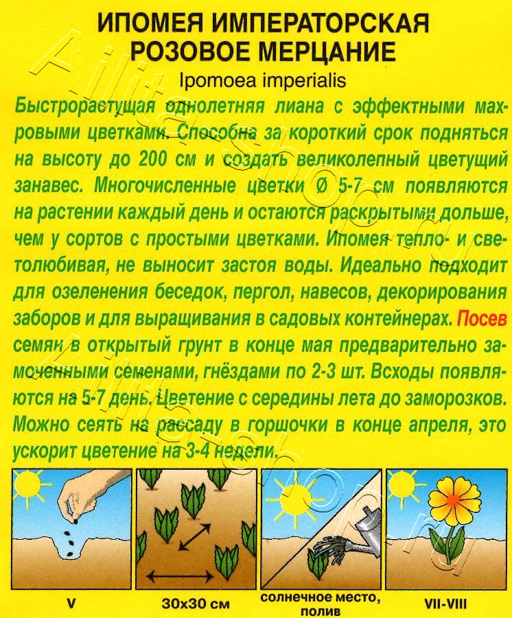 Ипомея Розовое мерцание махровая 9шт