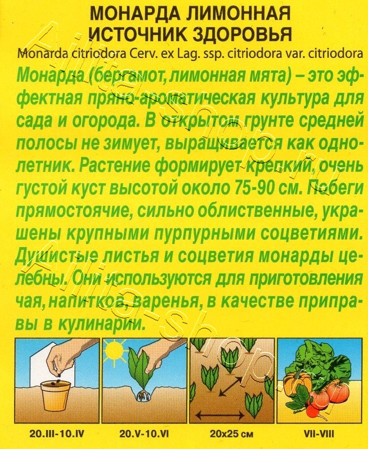 Монарда лимонная Источник здоровья 0,02г