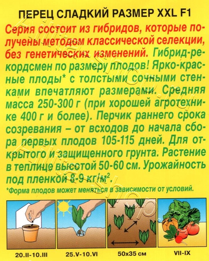 Перец сладкий Размер XXL F1 5шт