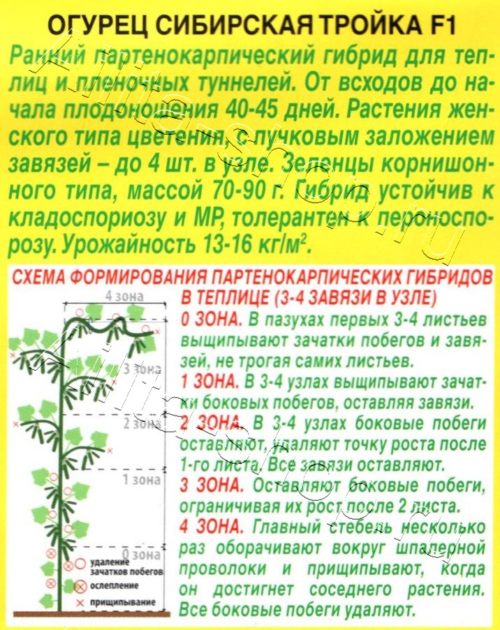 Огурец Сибирская тройка F1 10шт