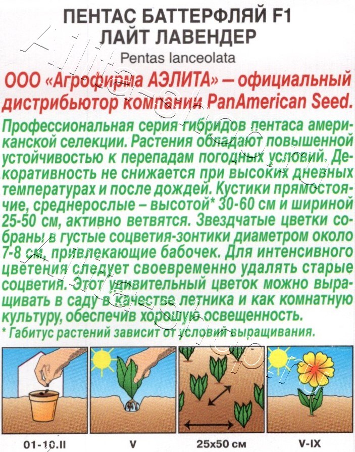 Пентас Баттерфляй F1 лайт лавендер 3шт