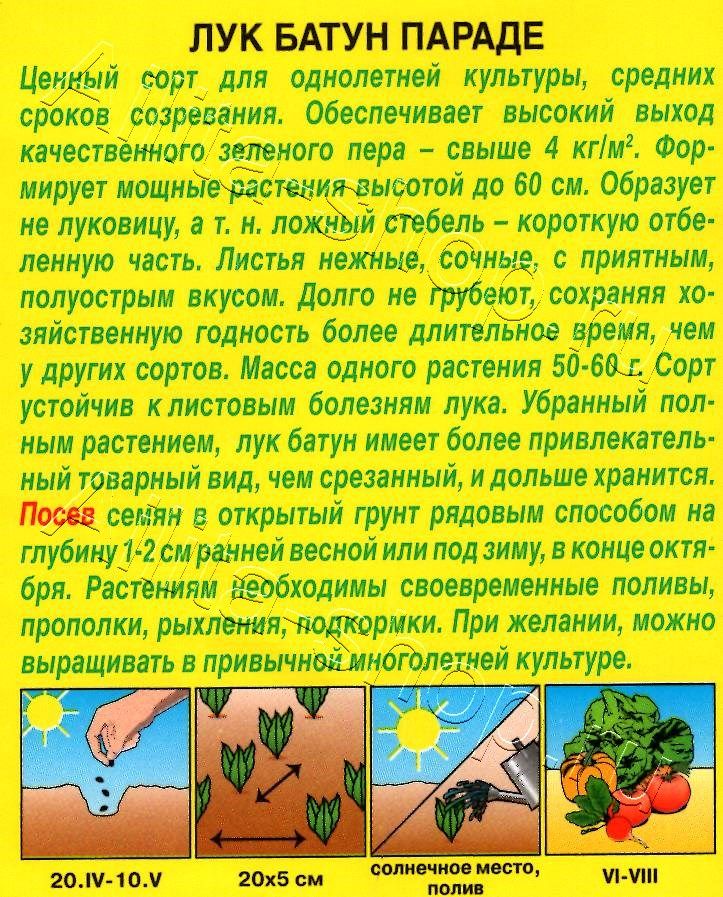 Лук батун Параде 0,2г