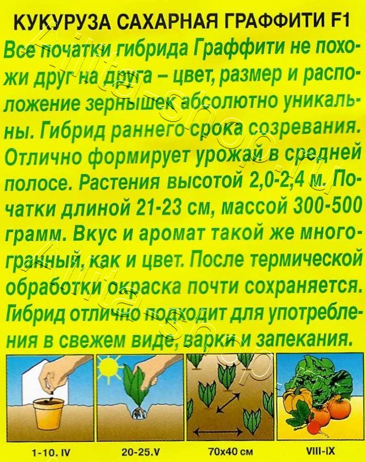 Кукуруза сахарная Граффити 5шт