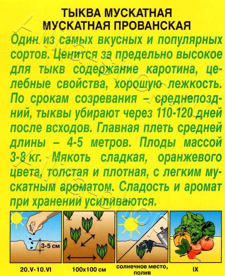 Тыква мускатная Мускатная Прованская 1г