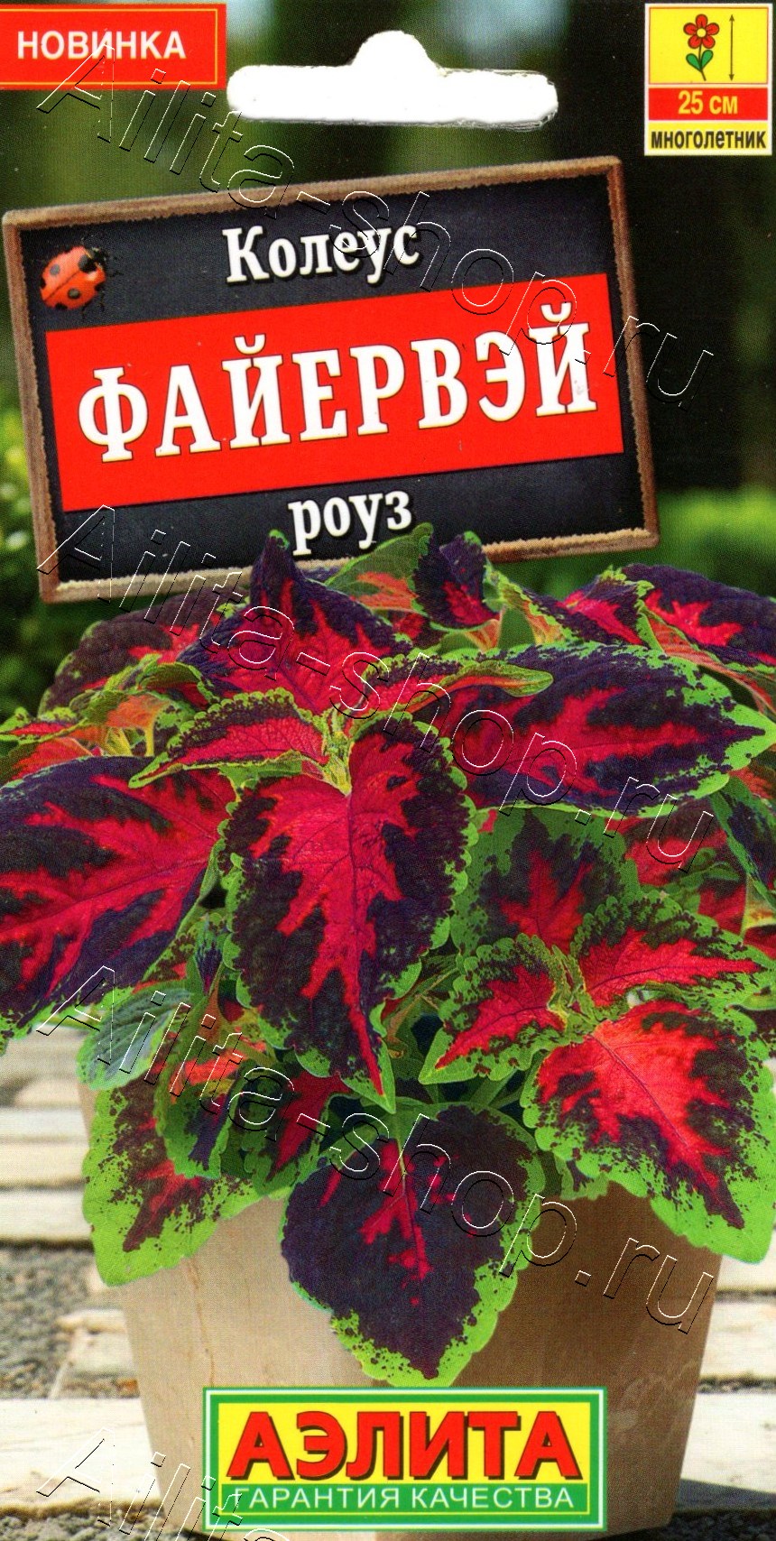 Колеус Файервэй роуз 5шт