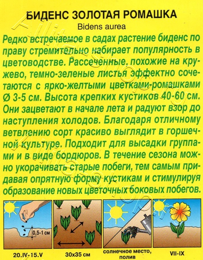 Биденс Золотая ромашка 0,1г