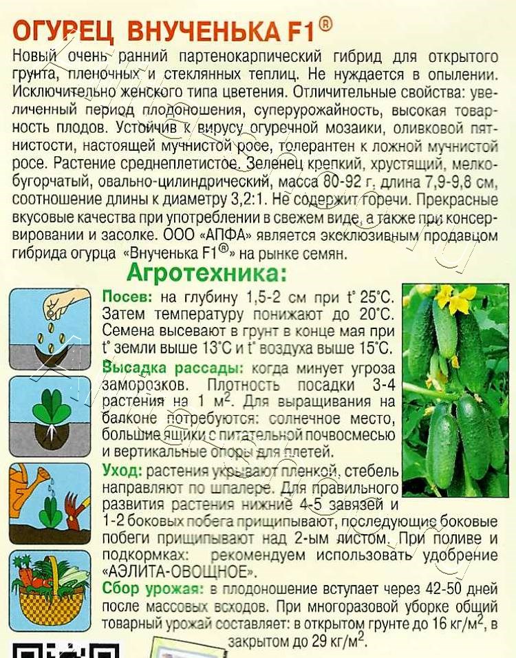 Огурец Внученька F1 10шт