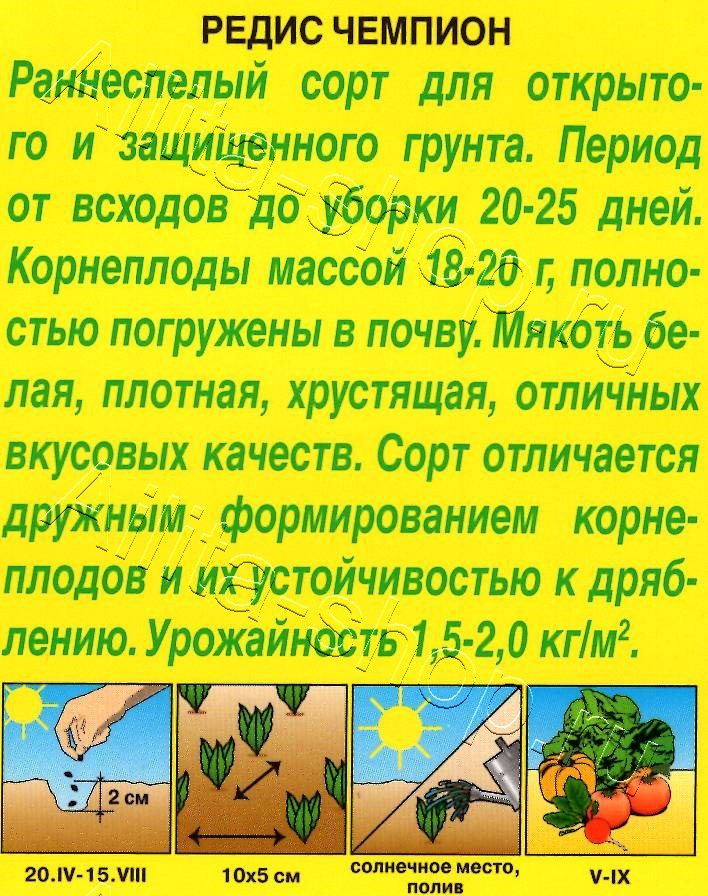 Редис Чемпион 3г