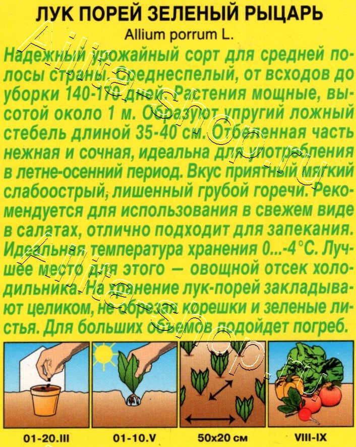 Лук порей Зеленый рыцарь 0,3г