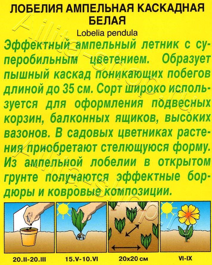 Лобелия каскадная белая 0,05г