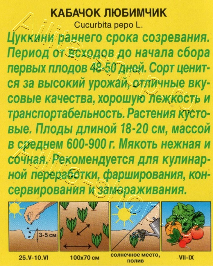 Кабачок цуккини Любимчик 1г