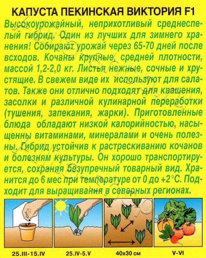 Капуста Пекинская Виктория F1 0,2г