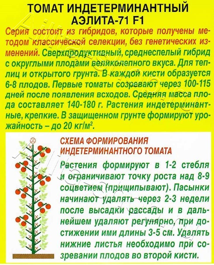 Томат Аэлита-71 F1 20шт