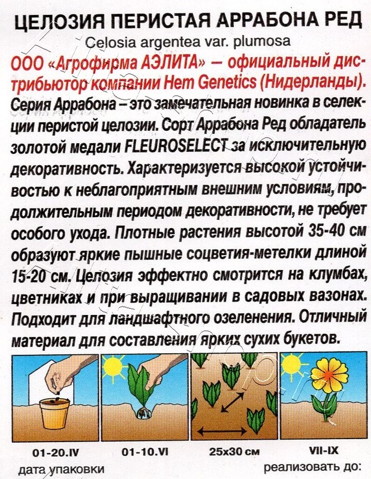 Целозия перистая Аррабона ред 7шт