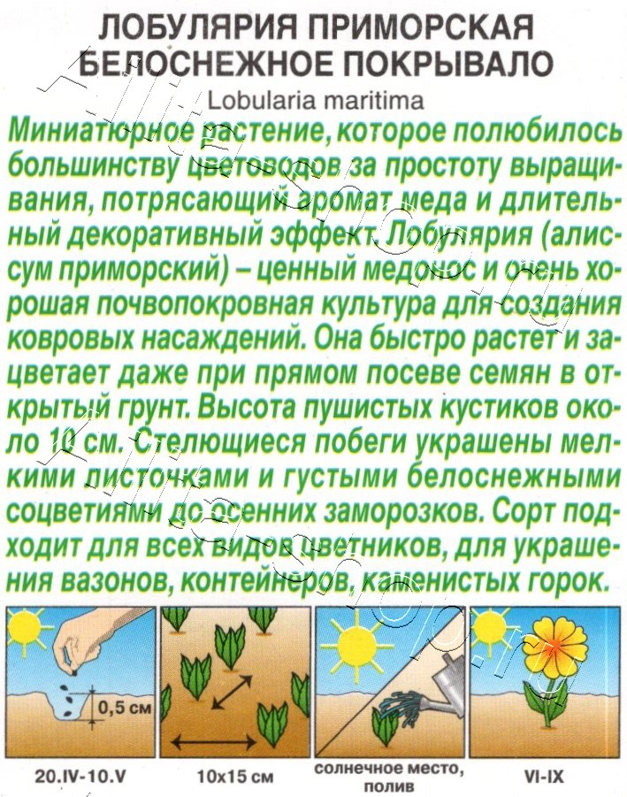 Лобулярия Белоснежное покрывало 0,05г