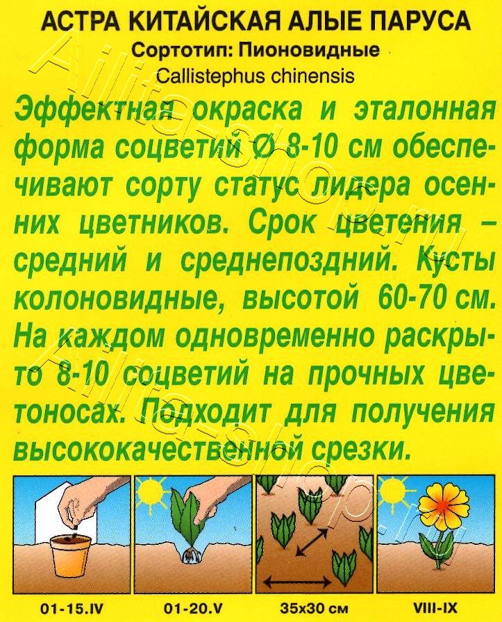 Астра Алые паруса 0,2г