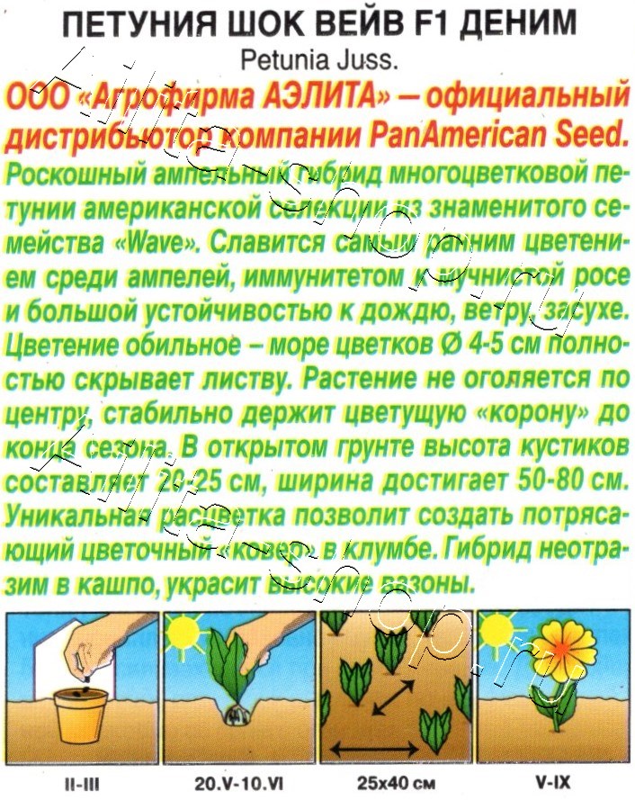 Петуния Шок Вейв F1 деним 4шт
