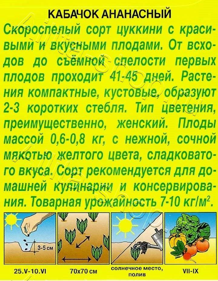 Кабачок цуккини Ананасный 2г