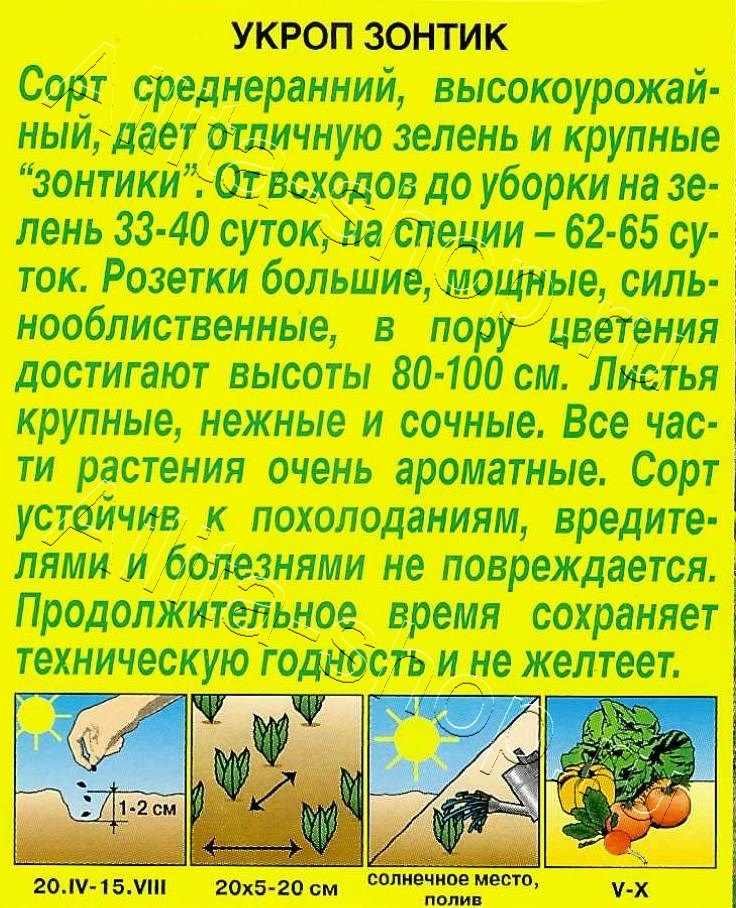 Укроп Зонтик 3г