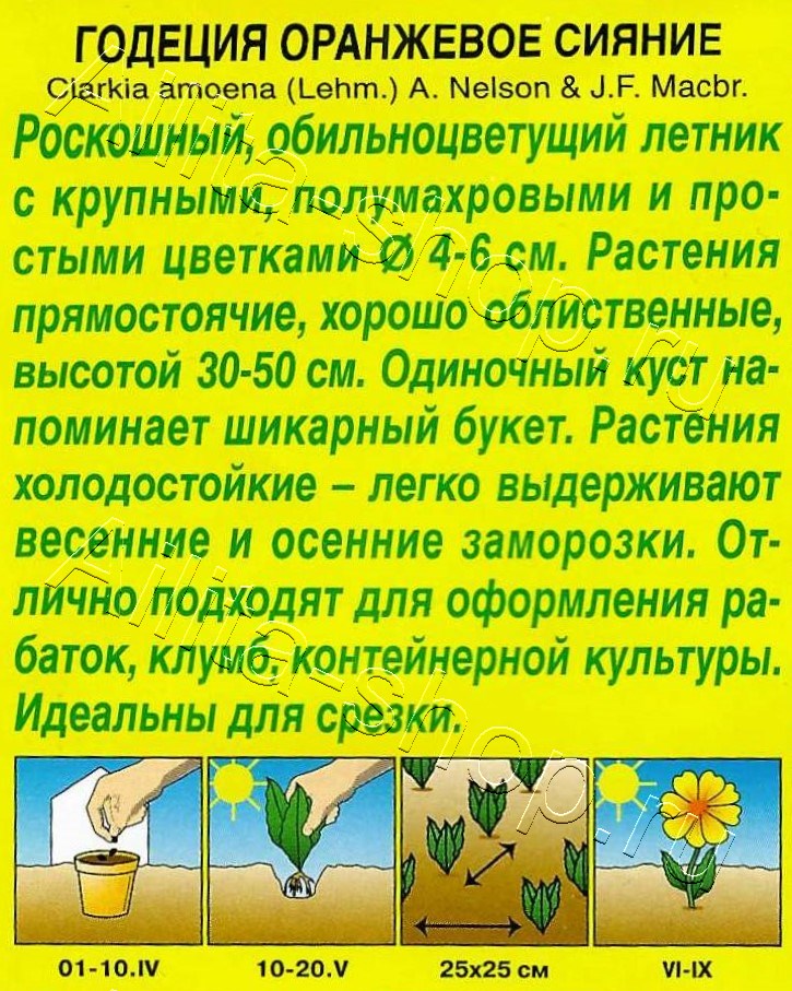 Годеция Оранжевое сияние махровая 0,05г